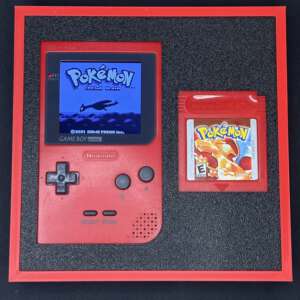 Cuadro Colección de Pokémon